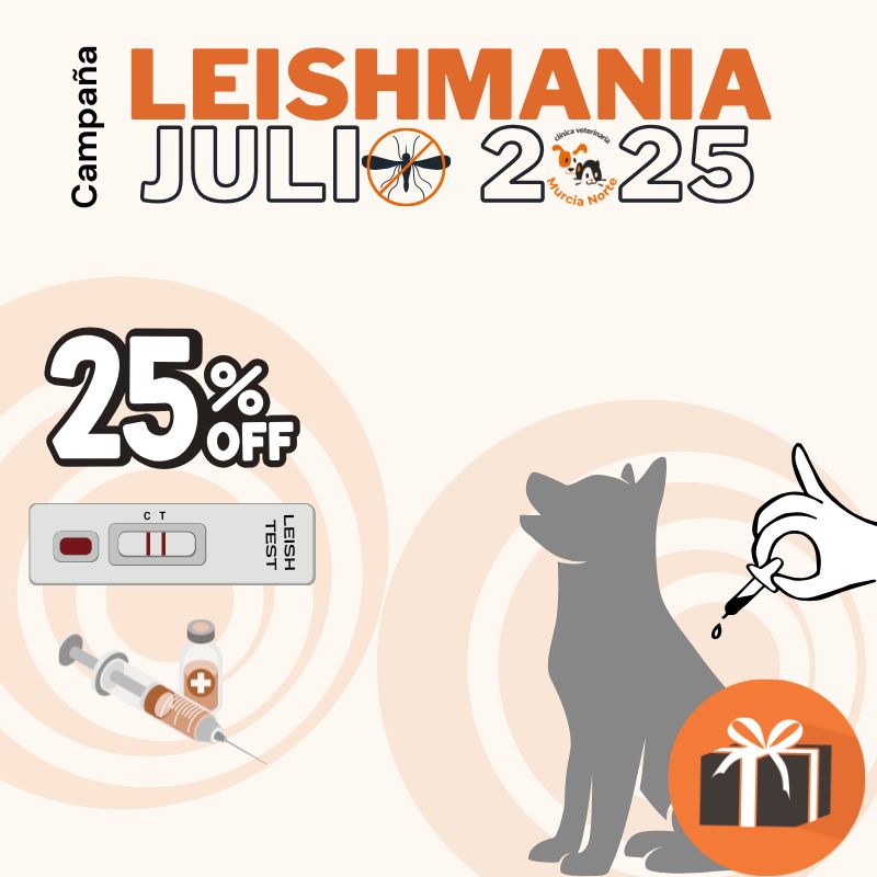 Campaña contra la leishmania julio 2025 en Clínica Veterinaria Murcia Norte. Test rápido y vacunación al 25% de descuento. De regalo una pipeta antiparasitaria