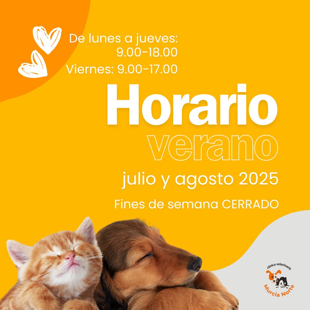 horario de verano de clinica veterinaria murcia norte