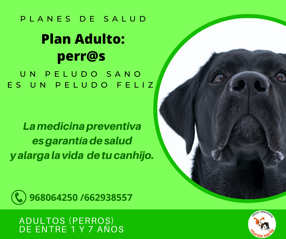 Plan Adulto: perras y perros de 1 a 7 a�os